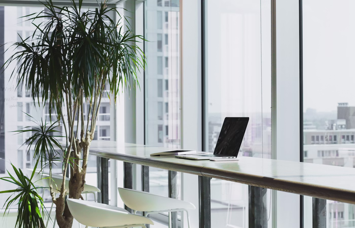 Ясность онлайн в Краснодар